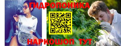 молекула духа Рузаевка