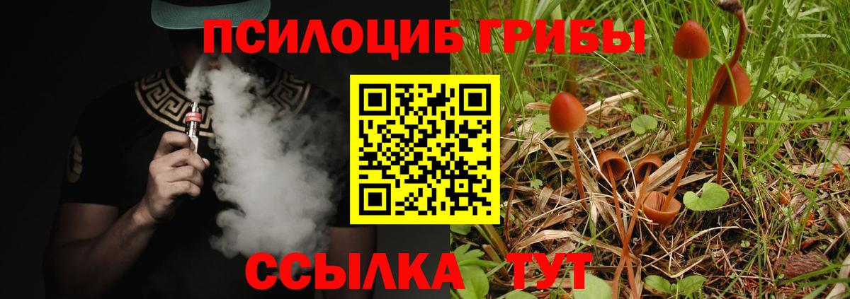 Галлюциногенные грибы MAGIC MUSHROOMS Октябрьский